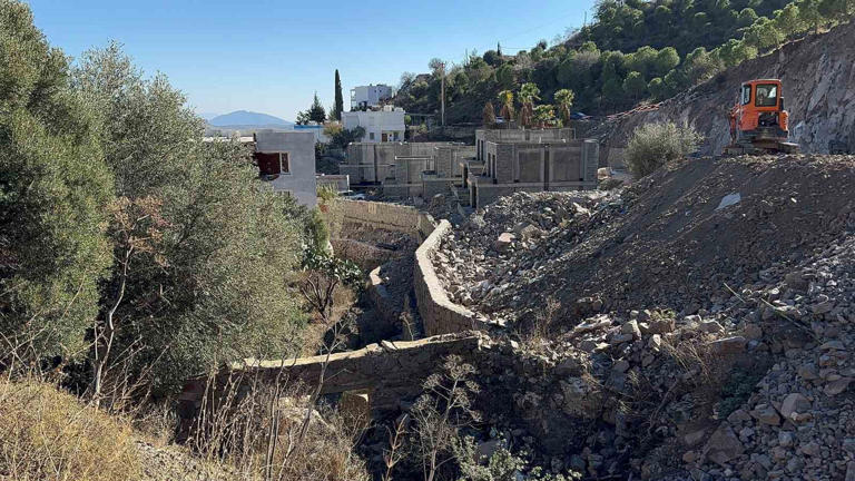 Suavi’nin Bodrum’daki arazisinde ağaçların kesildiği iddia edildi