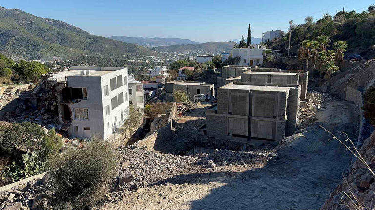 Suavi’nin Bodrum’daki arazisinde ağaçların kesildiği iddia edildi