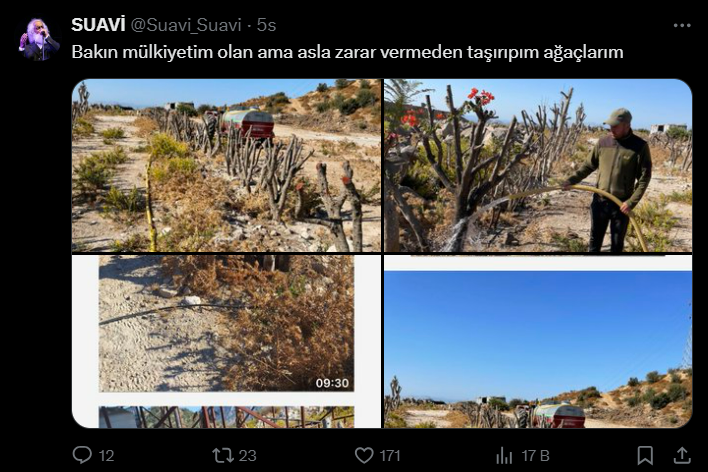 Suavi’nin Bodrum’daki arazisinde ağaçların kesildiği iddia edildi