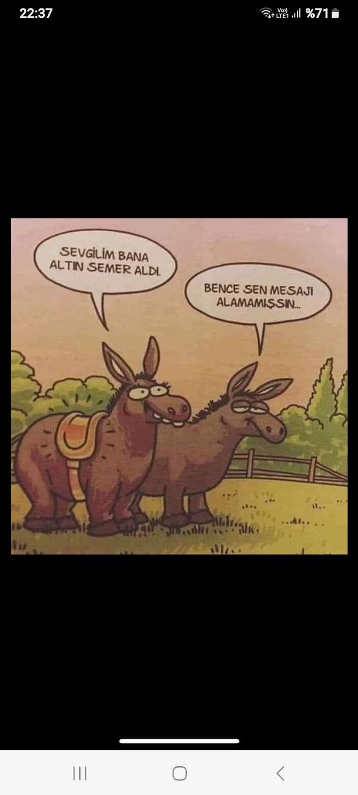 Hafta sonu eğlencesi karikatürler...