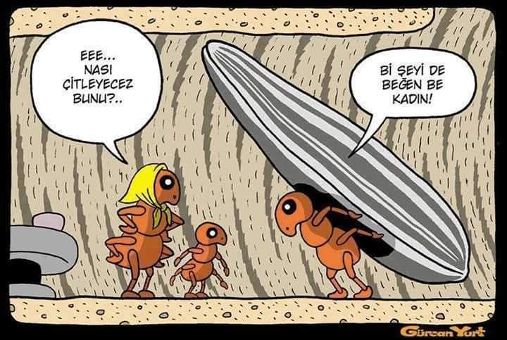 Hafta sonu eğlencesi karikatürler...