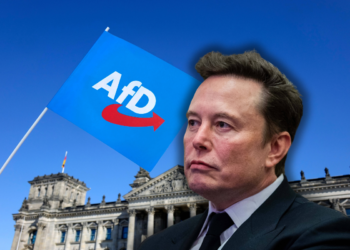 Suna Yaman yazdı I Elon Musk, Almanya’yı karıştırdı: Irkçı AfD’ye destek verdi