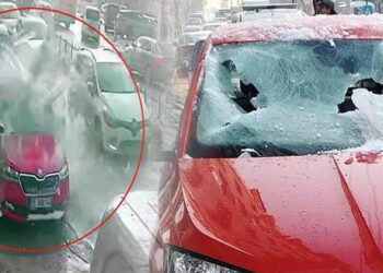 Erzurumluların kâbusu oldu: Yolda yürümeye korkuyorlar!