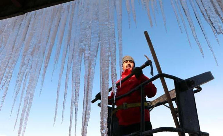 Erzurumluların kâbusu oldu: Yolda yürümeye korkuyorlar!