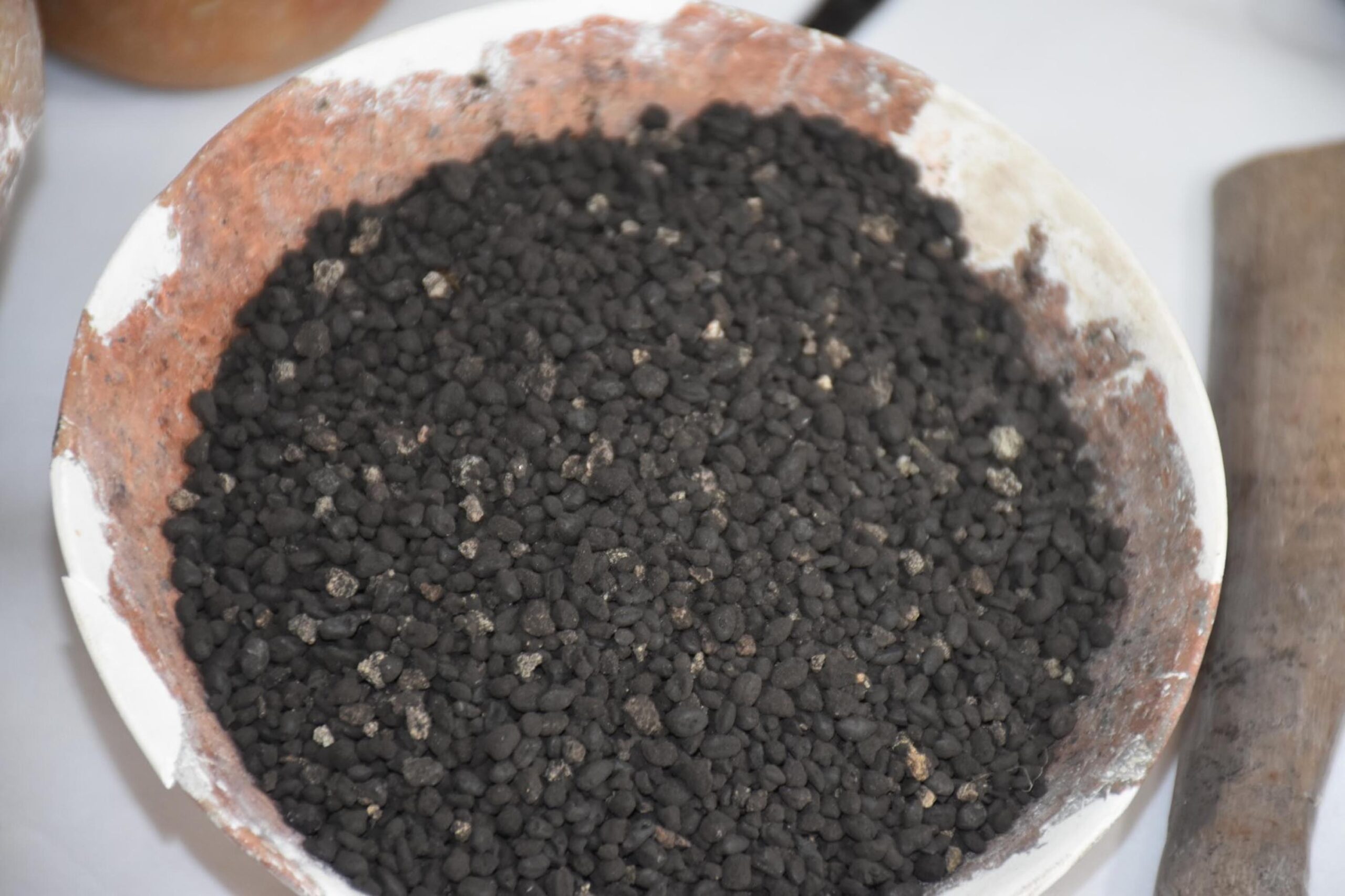 Ulucak Höyüğü'nde binlerce yıllık binada tahıllar, kaplumbağa kabuğu, spatula bulundu 2 Ulucak Höyüğü'nde binlerce yıllık binada tahıllar, kaplumbağa kabuğu, spatula bulundu