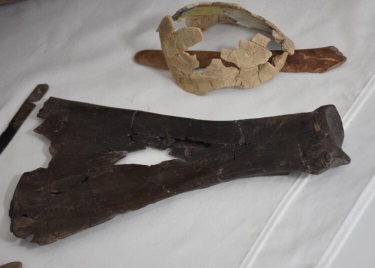 Ulucak Höyüğü'nde binlerce yıllık binada tahıllar, kaplumbağa kabuğu, spatula bulundu 1 Ulucak Höyüğü’nde binlerce yıllık binada tahıllar, kaplumbağa kabuğu, spatula bulundu