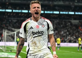 Kara kartal, Kanaryayı bir golle avladı