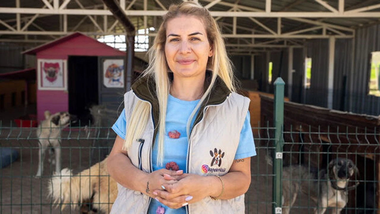 MASAK tespit etti: Köpekler için yapılan bağış paraları ile 65 araç almış