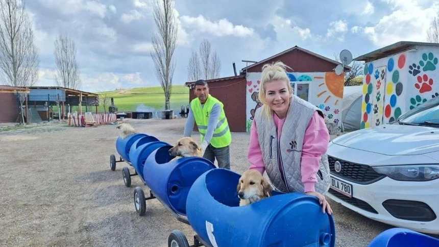 MASAK tespit etti: Köpekler için yapılan bağış paraları ile 65 araç almış
