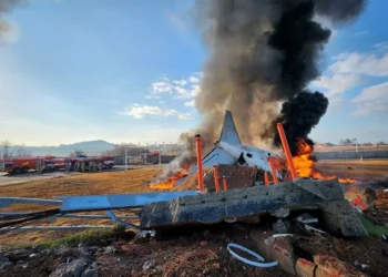 Güney Kore’de yolcu uçağı inişte kaza yaptı, 181 kişiden sadece 2 kişi kurtarıldı