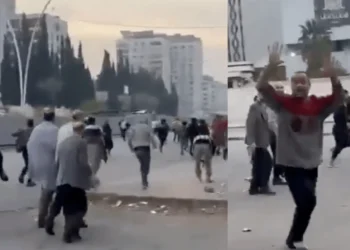 Ne oldu, bizi niye bıraktılar? Rejim düştü, Esad kaçtı!
