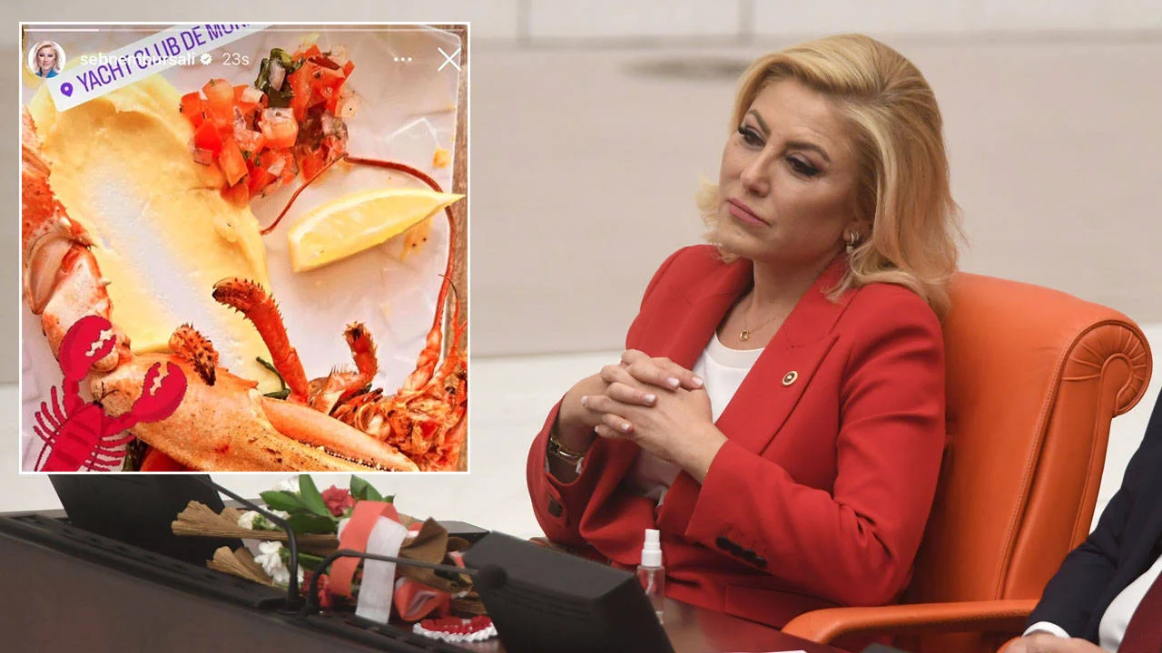 Halis Gül yazdı l Kamuoyundan özür diliyorum! 7 Halis Gül yazdı l Kamuoyundan özür diliyorum!