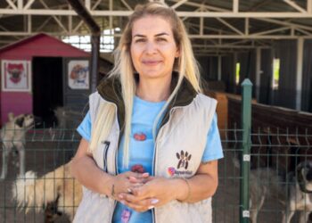 Sokak hayvanları derneği operasyonunda 8 şüpheli adliyeye sevk edildi