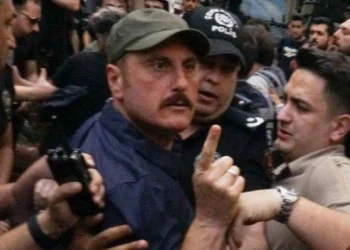 Tehdit ve taciz ile gündemdeydi: Hanefi Zengin, görevden alındı