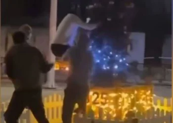 Küçükçekmece’de yılbaşı ağacına baltalı saldırı