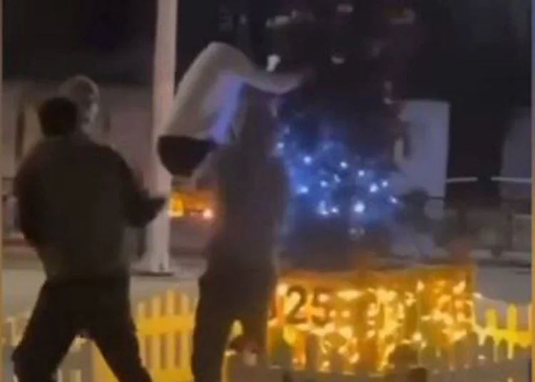 Küçükçekmece'de yılbaşı ağacına baltalı saldırı 1 Küçükçekmece’de yılbaşı ağacına baltalı saldırı