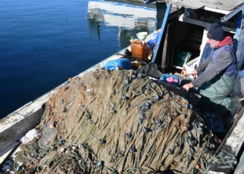 Müsilaj geri döndü, balıkçılar avlanmayı bıraktı: “Sebepler ortadan kalmadan sorun çözülmez”
