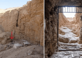 Yeni keşfedilen Firavun mezarında bir sürpriz daha bulundu