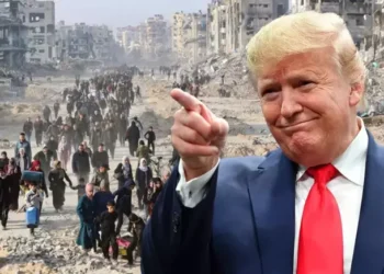 Kemal Albayrak yazdı l Ne günlere kaldık, niçin?