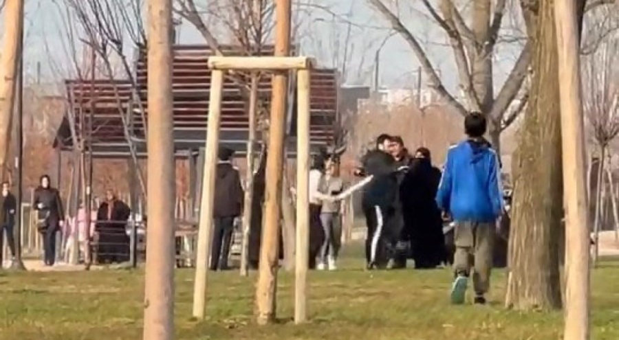 Parkta döner bıçaklı kadın, güvenlikçiyi yaraladı
