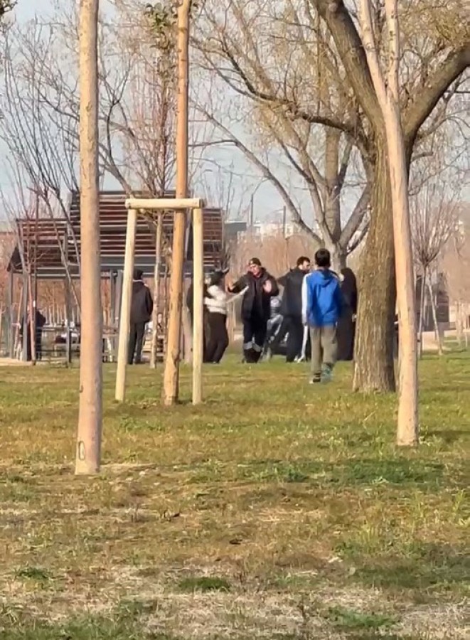 Parkta döner bıçaklı kadın, güvenlikçiyi yaraladı