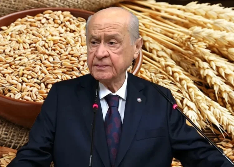 Nekahet sürecindeki Bahçeli kampanya başlattı: Askıda 9 gülek buğday
