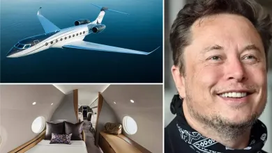 Elon Musk, arka arkaya meydana gelen havacılık felaketlerine el atıyor