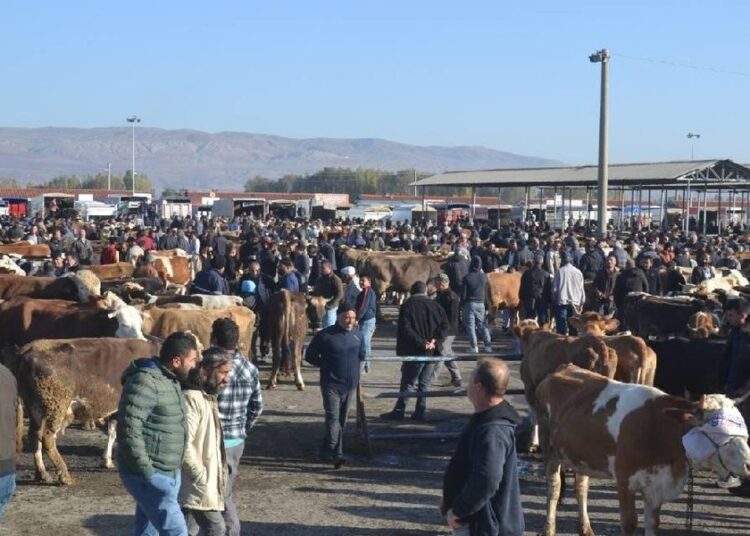 ‘Şap’ endişesi: Türkiye’nin en büyük hayvan pazarı kapatıldı