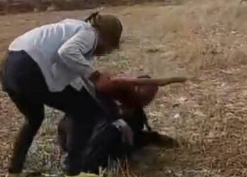 Engelli çobanı sopayla döven kardeşler yeniden tutuklandı