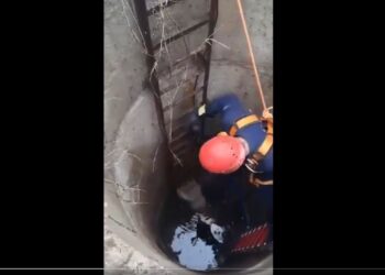 Kuyuya düşen köpeği, itfaiye ekipleri boğulmaktan kurtardı