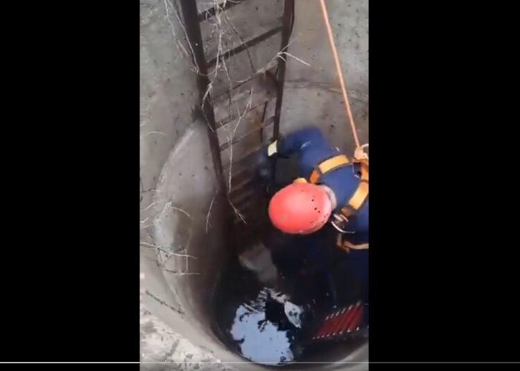 Kuyuya düşen köpeği, itfaiye ekipleri boğulmaktan kurtardı 1 Kuyuya düşen köpeği, itfaiye ekipleri boğulmaktan kurtardı