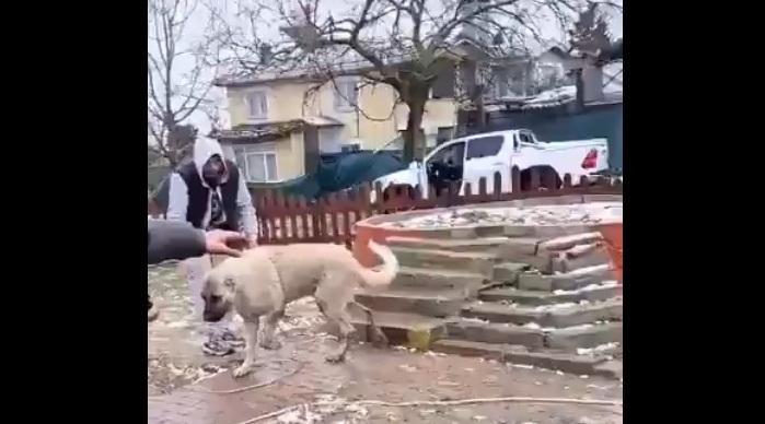 Kuyuya düşen köpeği, itfaiye ekipleri boğulmaktan kurtardı 4 Kuyuya düşen köpeği, itfaiye ekipleri boğulmaktan kurtardı