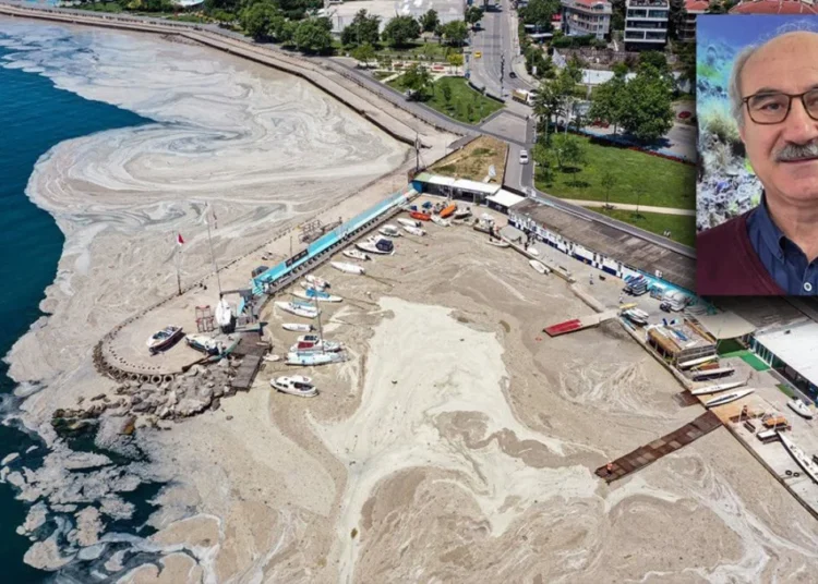 Müsilaj Marmara’yı sardı! Uzmanlar uyardı: Acil önlem alınmazsa felaket kaçınılmaz