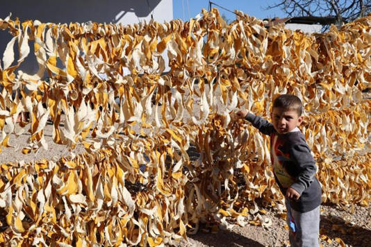 Meyvelerin kabuğunu ipte kurutup, kilosunu 25 liradan satıyorlar