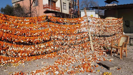 Meyvelerin kabuğunu ipte kurutup, kilosunu 25 liradan satıyorlar
