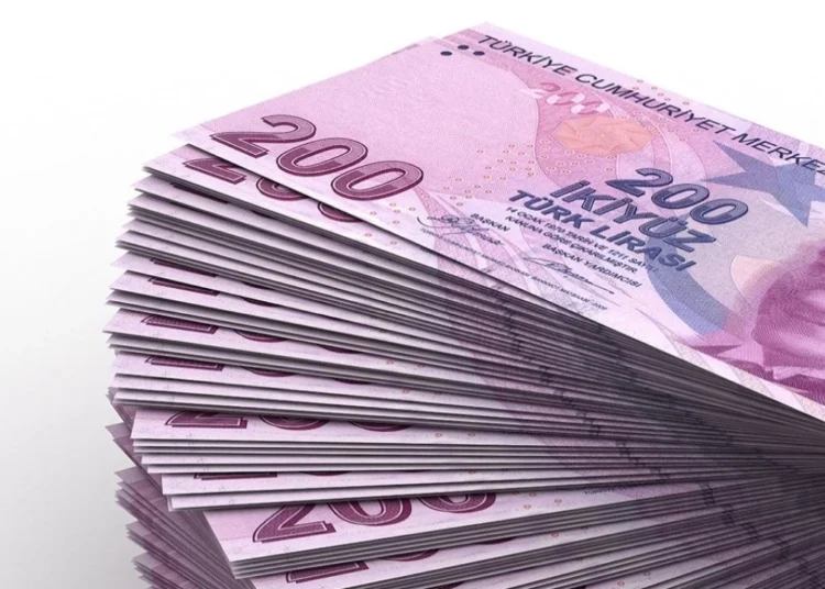 Bir zamanlar ne de değerliydi: 132 dolardan 5,4 dolara! Piyasadaki paranın yüzde 82’si 200 TL