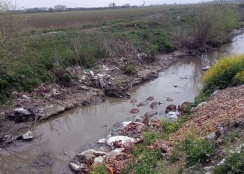 At ve eşeklerden arta kalanlar dere yatağında ortaya çıktı
