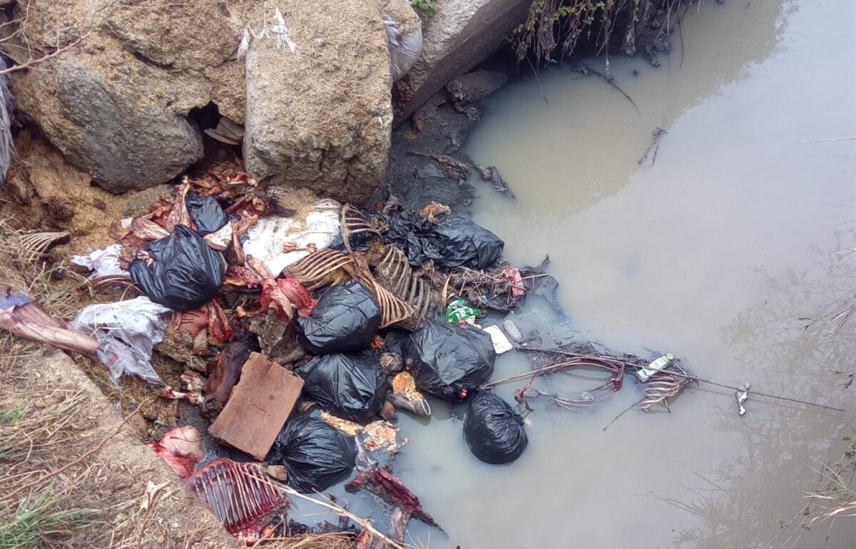 At ve eşeklerden arta kalanlar dere yatağında ortaya çıktı 2 At ve eşeklerden arta kalanlar dere yatağında ortaya çıktı