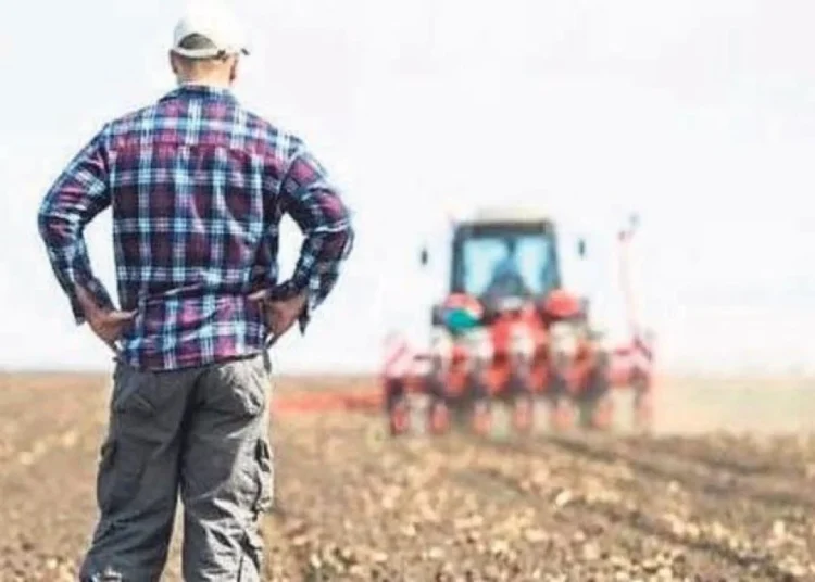 Ödenemeyen banka borcu, çiftçide ne tarla bıraktı ne traktör