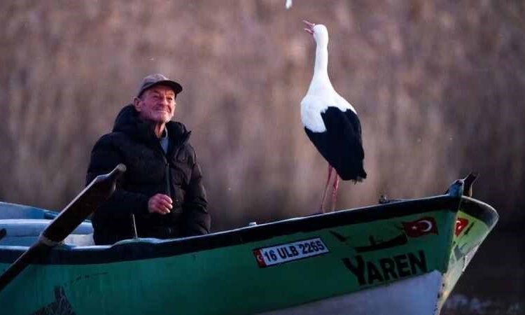Dostluk kaldığı yerden devam ediyor… Yaren leylek 14. kez geldi