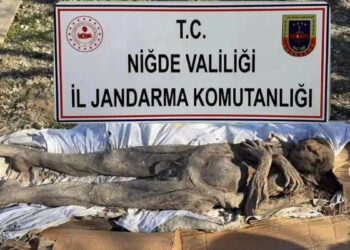 Niğde’de mumya yakalandı: 6 gözaltı