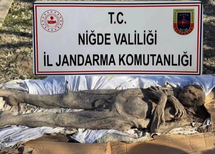 Niğde’de mumya yakalandı: 6 gözaltı 1 Niğde’de mumya yakalandı: 6 gözaltı