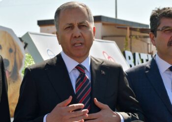 Yerlikaya: Sokak hayvanları ile ilgili 81 ile müfettiş gönderildi