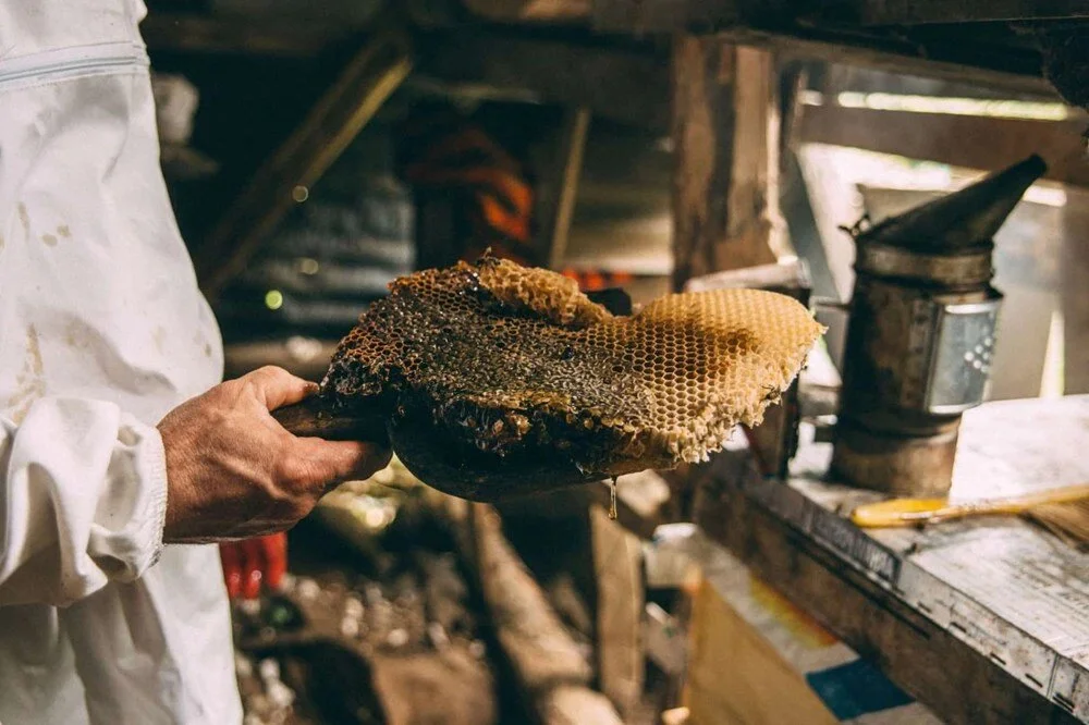 Artvin'de üretilen bal dünyanın en ünlü lüks mağazasında satışta: 150 gramı 57 bin TL