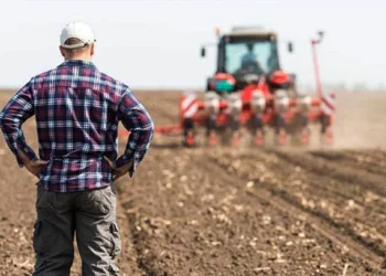 Kazanamayan çiftçi üretmeyi bırakıyor