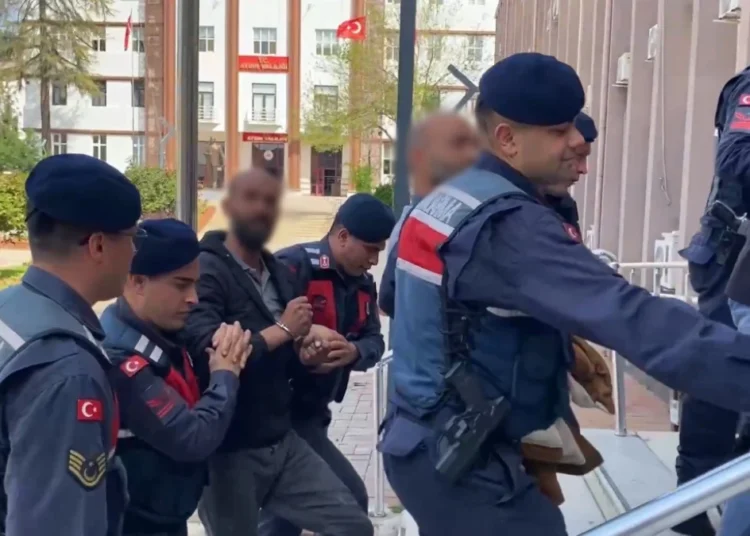 Aydın’da ‘civciv operasyonu’: Uyuşturucu baronlarını almıyorsunuz, civciv baronu alıyorsunuz