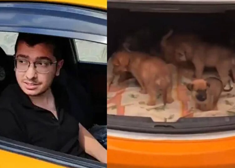Onlarca köpeğe tecavüz edip öldüren doktorun cezası belli oldu 1 O doktor, sahiplenme bahanesiyle 26 köpeği öldürmüş