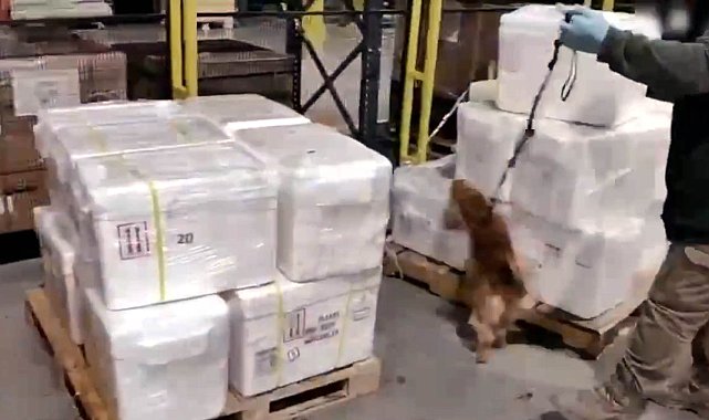 İstanbul Havalimanı'nda 455 kilo kokain yakalandı 1 İstanbul Havalimanı’nda 455 kilo kokain yakalandı