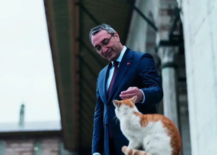Tolga Yavaş yazdı I Kedi taktiği... 1 Tolga Yavaş yazdı I Kedi taktiği…