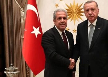 Şamil Tayyar: Cumhurbaşkanımız korkacak biri değil, iyi niyetli yaklaştığınızda elindeki ekmeği bile alırsınız